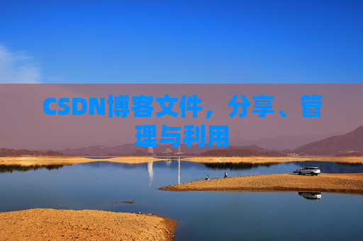 CSDN博客文件，分享、管理与利用